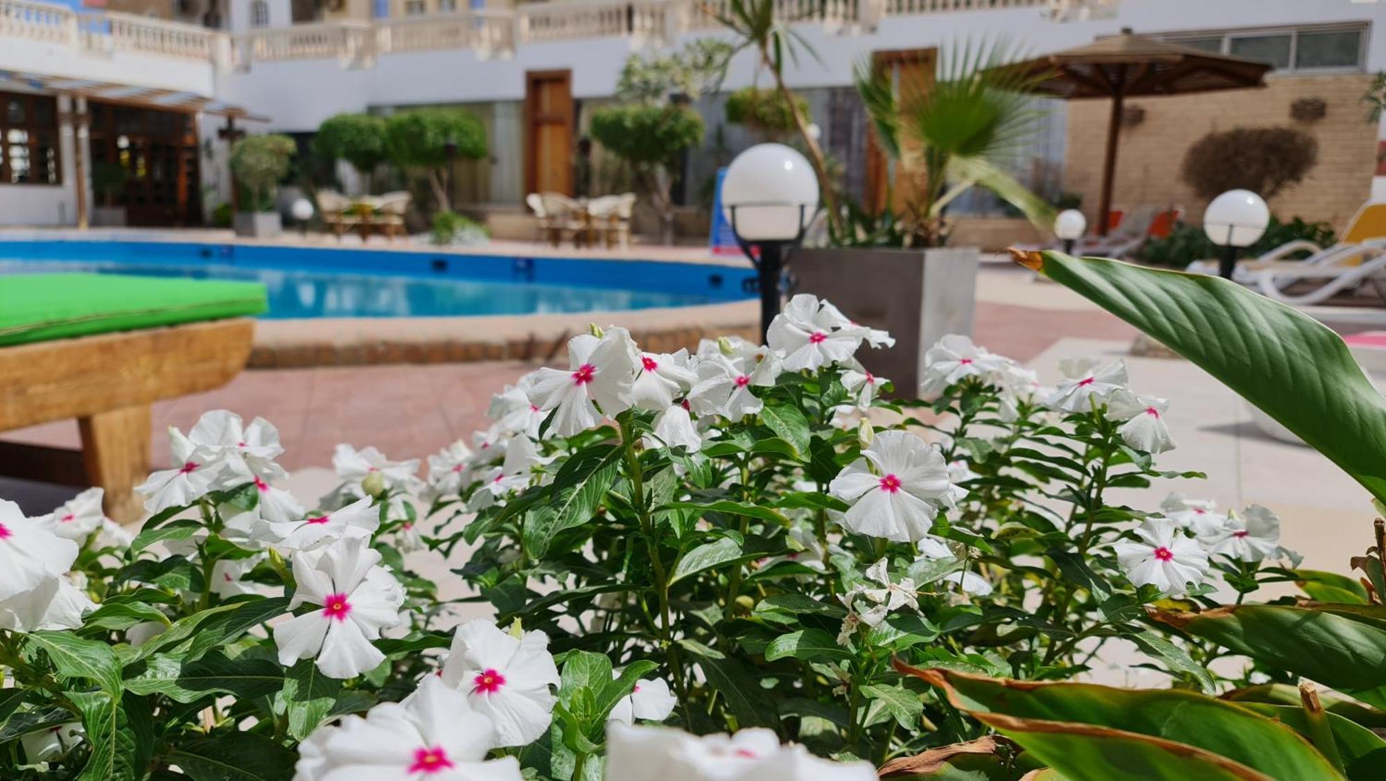 Zak Inn Hurghada Exterior photo